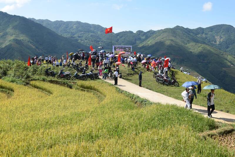 Mua vang Xim Vang thu hut dong dao nhan dan va du khach tham gia. Anh: Truong Son