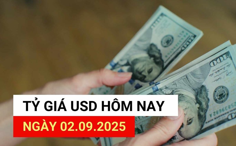 USD exchange rate today 2.9: Reasons for USD reversal