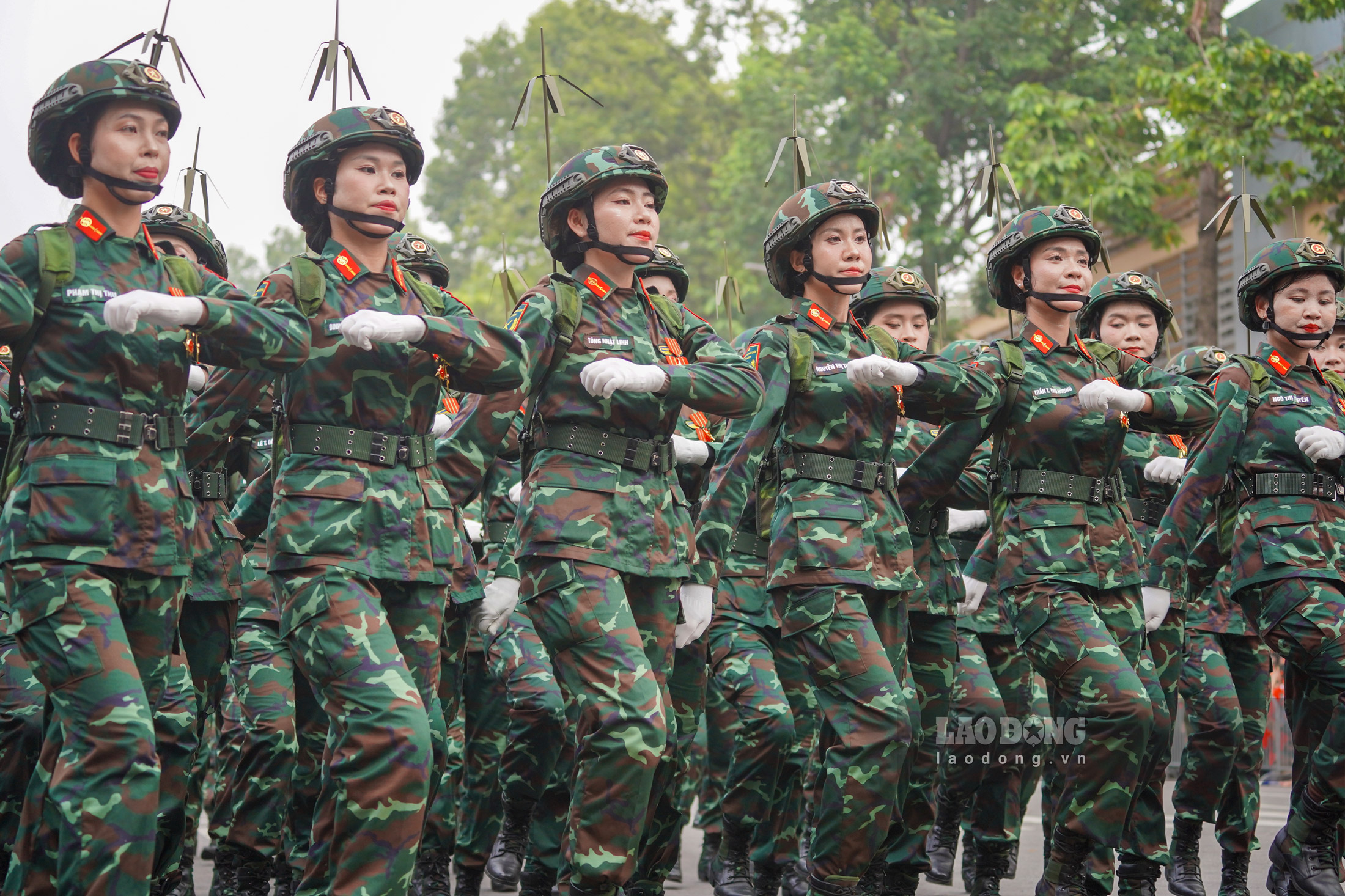 Dieu binh