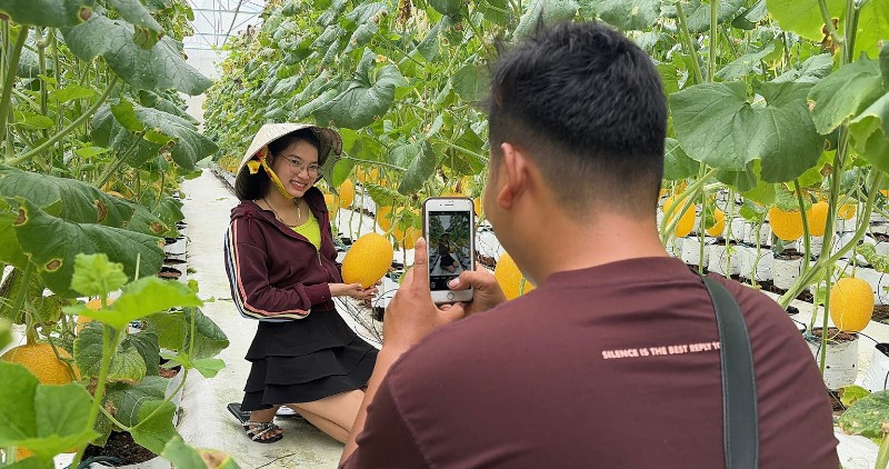 Tourists visit and experience fruit gardens in Vinh Long during the holidays. Photo: Hoang Loc