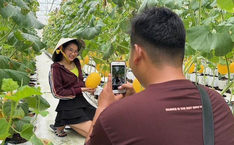 Tourists visit and experience fruit gardens in Vinh Long during the holidays. Photo: Hoang Loc