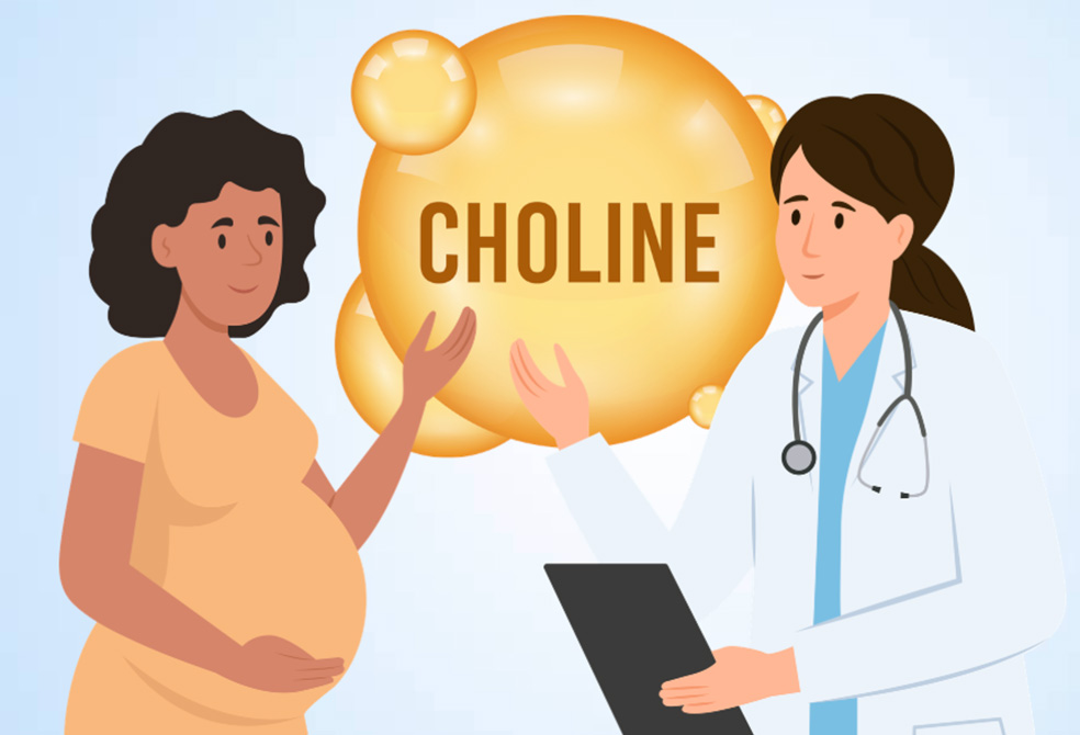 妊娠中の女性がラインを補給し始めるのに理想的な時期。グラフィック:ティエン・ニャン