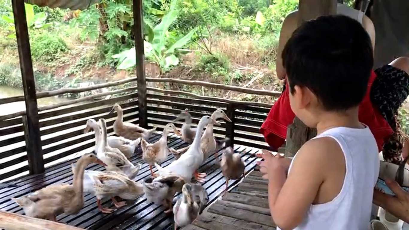 Dan vit duoc ba Lieu tap luyen nhieu thang lien truoc khi ma