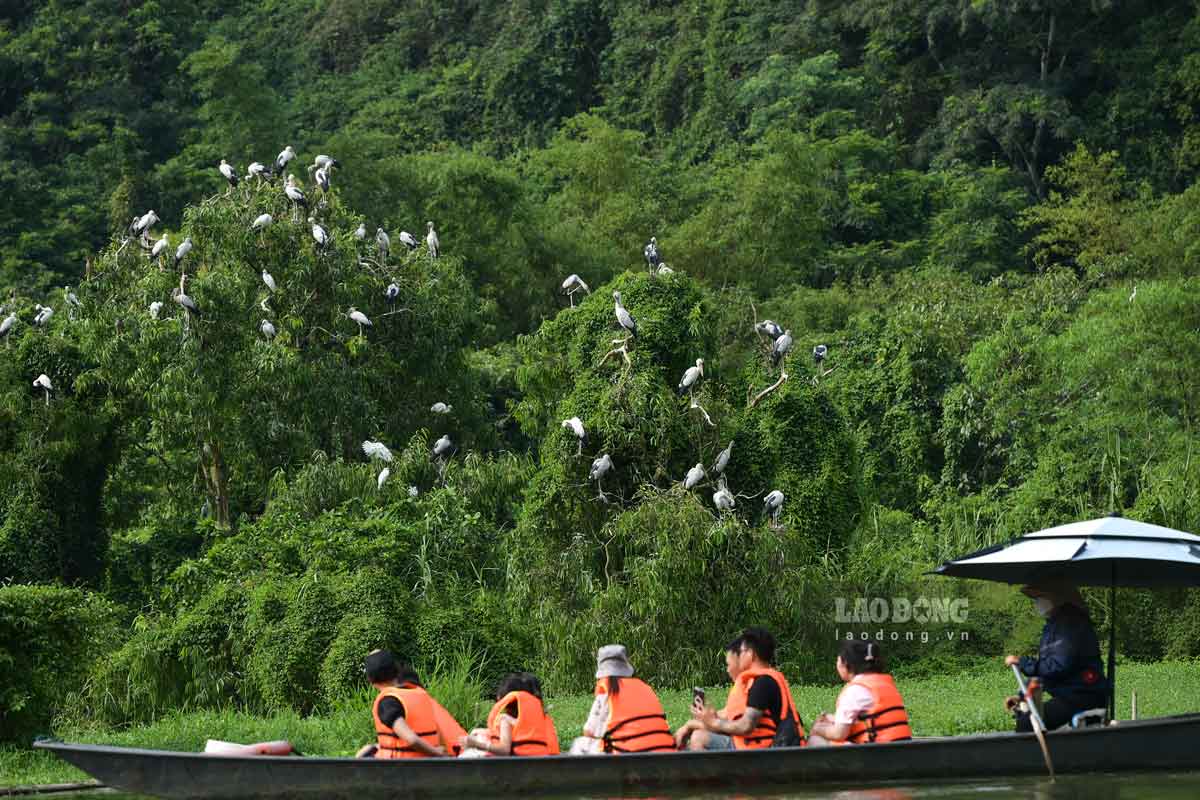 Turistas navegando explorando el jardin de aves Thung Nham en la provincia de Ninh Binh. Foto: Luong Ha