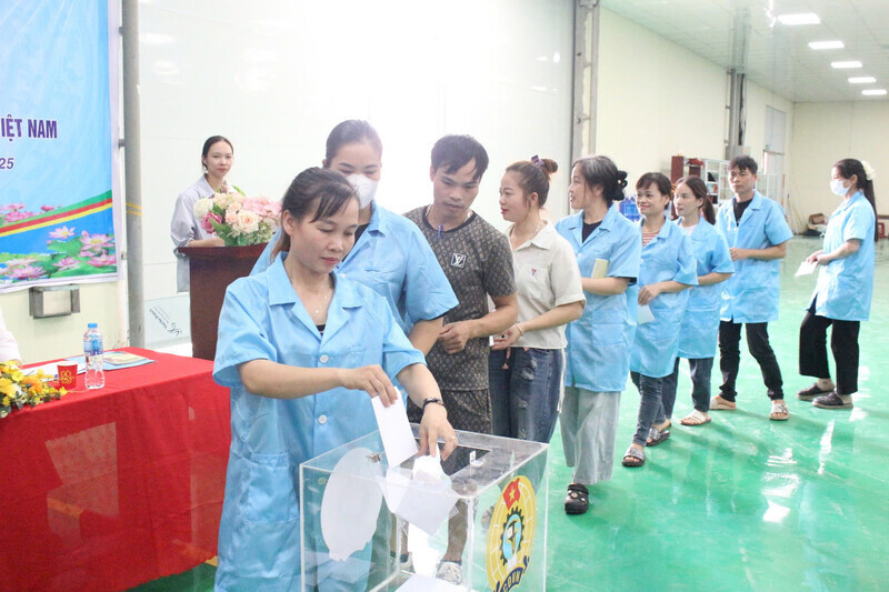 Doan vien CDCS Cong ty bo phieu bau Ban chap hanh CDCS. Anh: Hoang Nhu