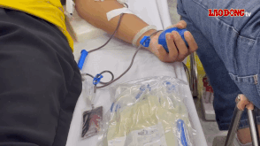 Des membres du syndicat participent au programme de don de sang volontaire organise par le syndicat. Photo : Thanh An