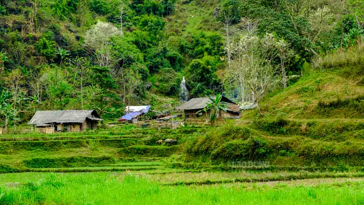 Nhung nep nha san dong bao an minh tren cac suon nui ve nen mot buc tranh yen binh.