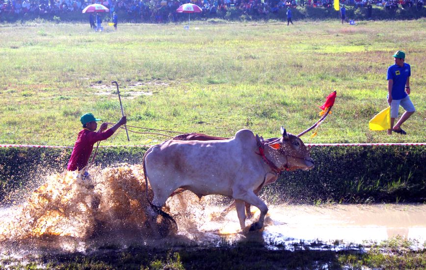 Pha tang toc cua doi bo tai Hoi dua bo Bay Nui nam 2025. Anh: Lam Dien