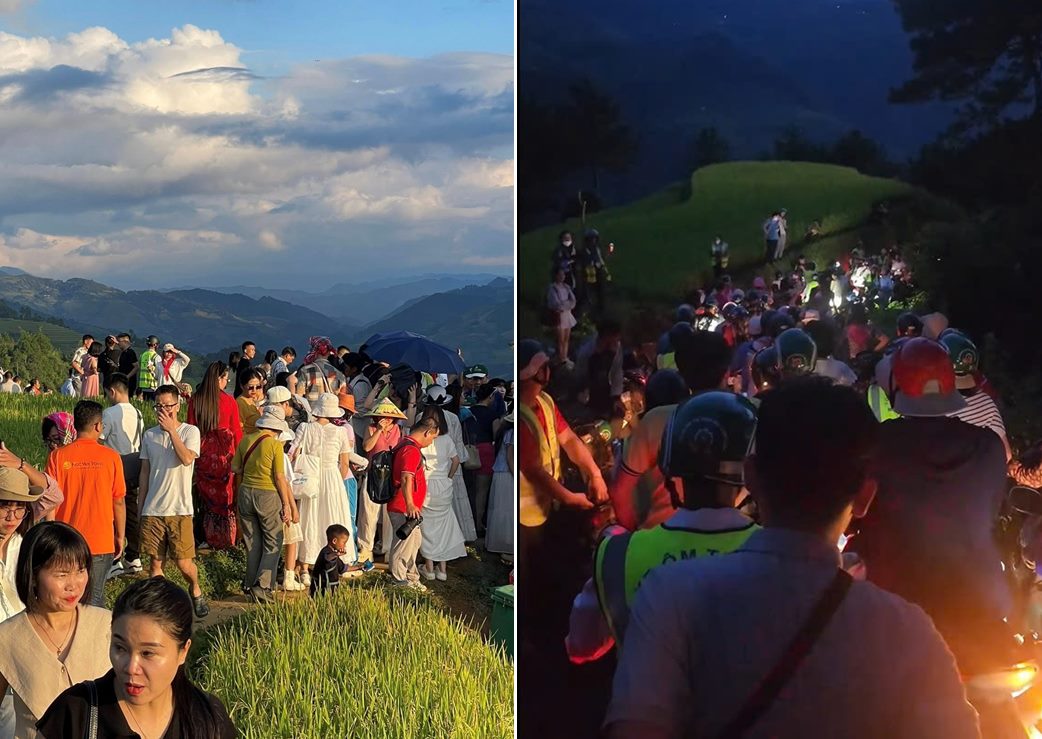 Stau in Mu Cang Chai bis zum Abend, Touristen strömen herbei, um reifen Reis zu jagen