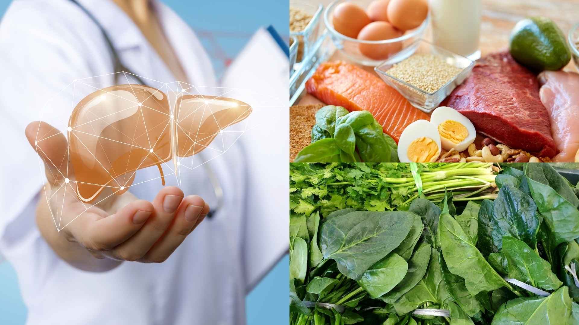 How to eat a "1-2-3" standard to reverse fatty liver condition