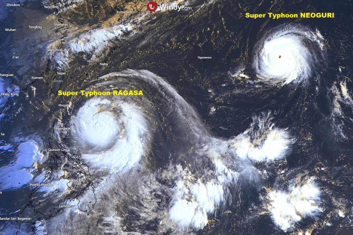 슈퍼 태풍 라가사와 슈퍼 태풍 너구리가 2025년 9월 21일에 함께 활동합니다. 사진: Windy.com