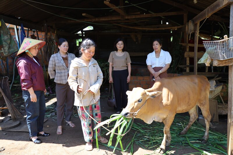 Chị H Chên - bon Sapa, xã Thuận An (tỉnh Lâm Đồng) được hỗ trợ vốn sinh kế để phát triển kinh tế, thoát nghèo bền vững. Ảnh: Lâm Đức