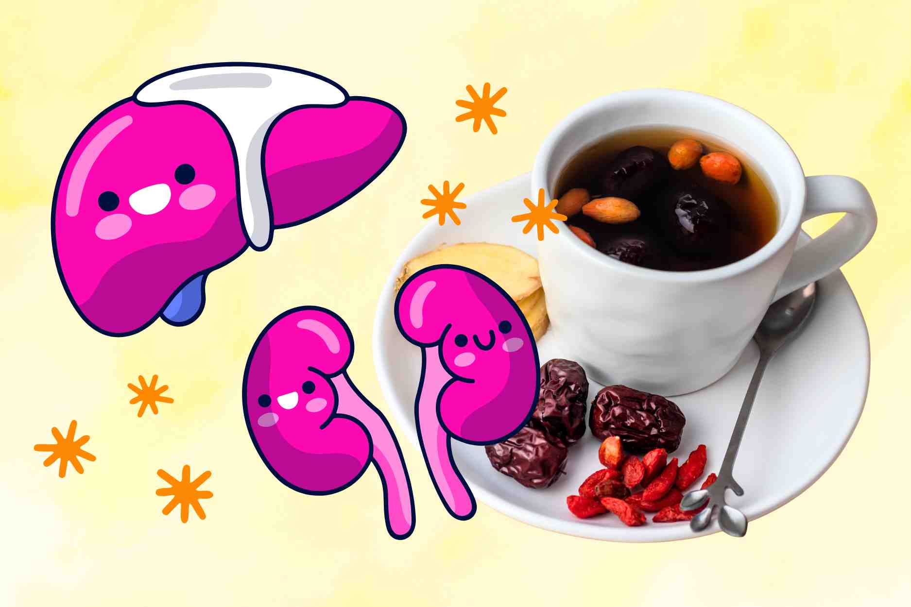 The secret to purifying the body and taking care of the liver and kidneys for people who stay up late