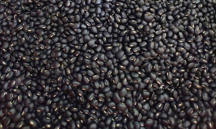 Black beans are considered one of the best sources of calcium for children. Photo: Kieu Vu