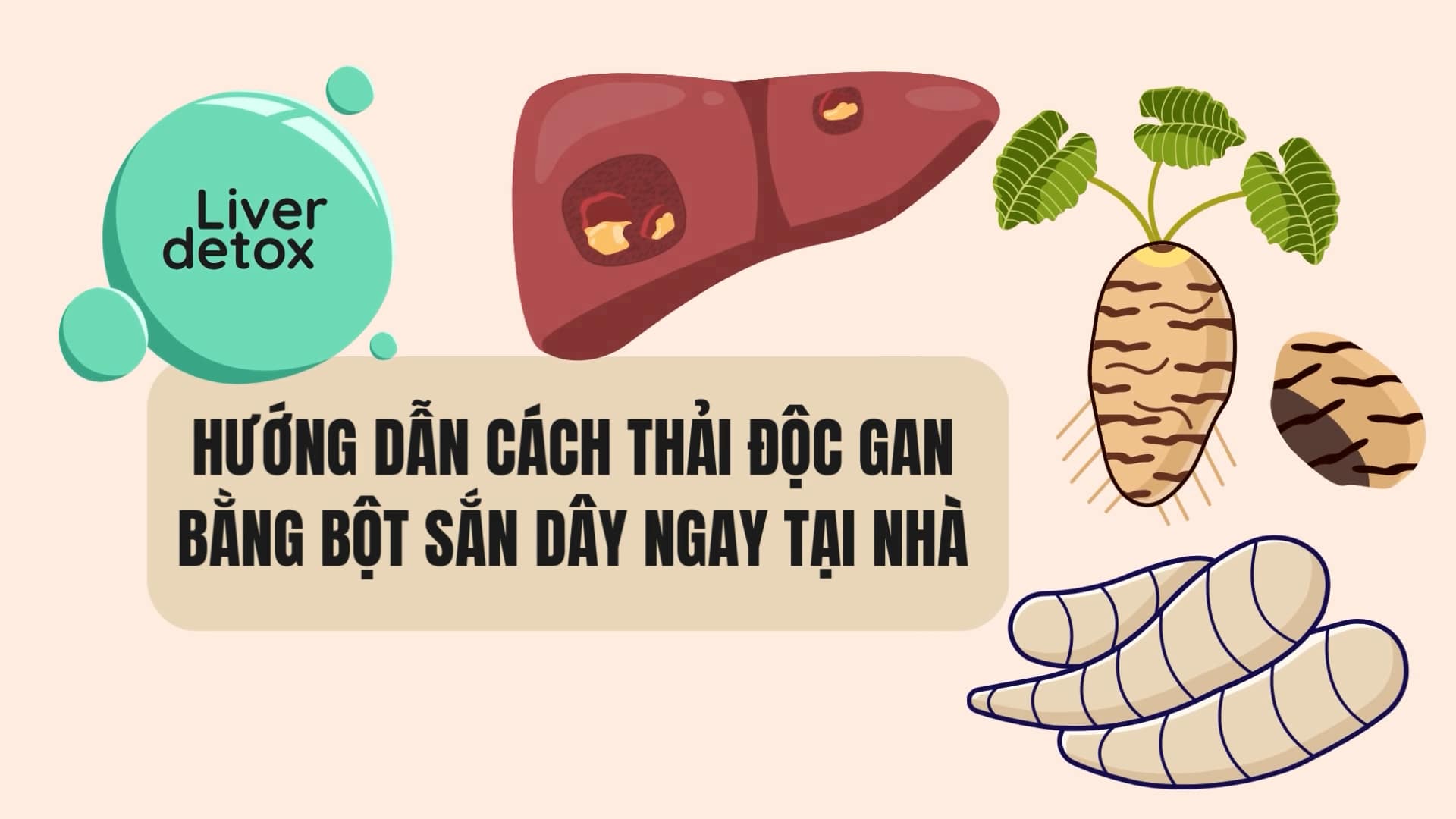 Instructions on how to detoxify the liver with kudzu powder at home