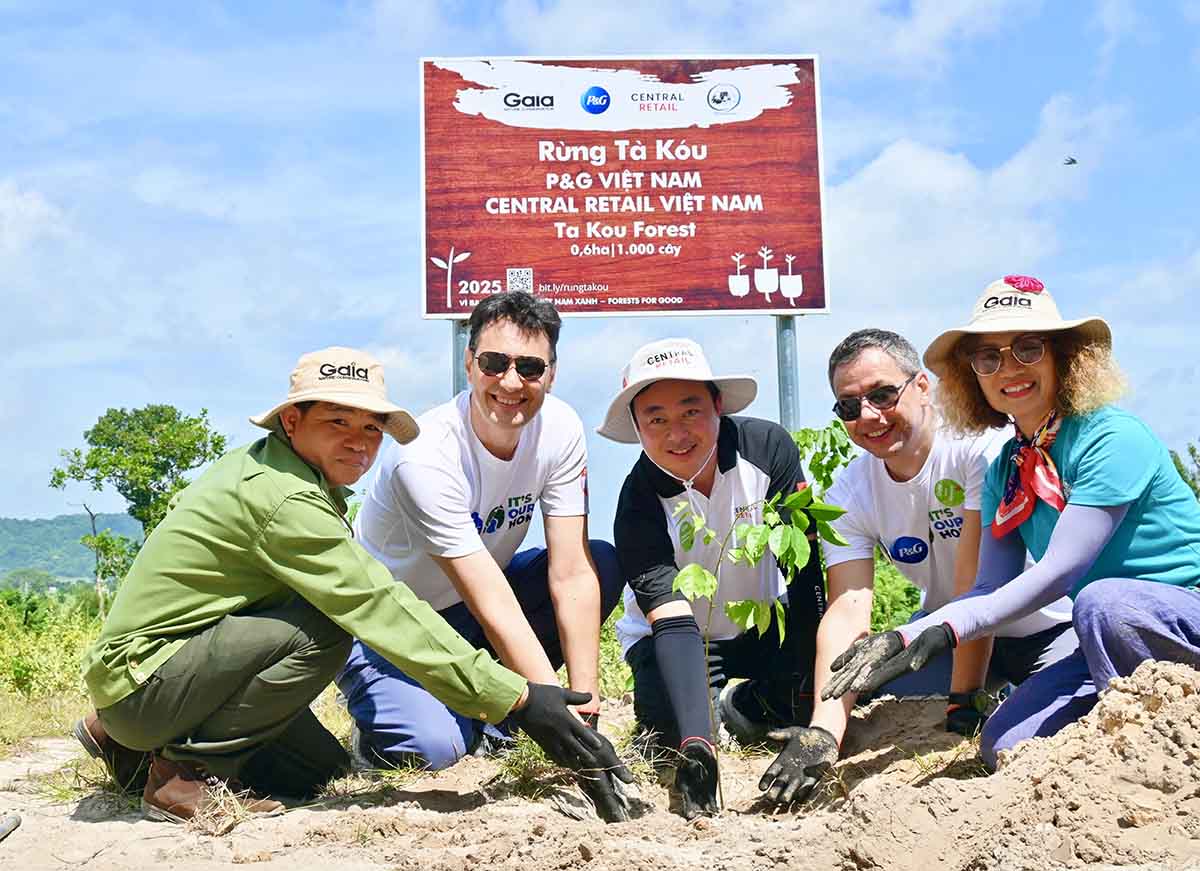 P&G Vietnam and Central Retail organize the 2025 Forest Protection Festival in Ta Cu. Photo: Provided by the enterprise