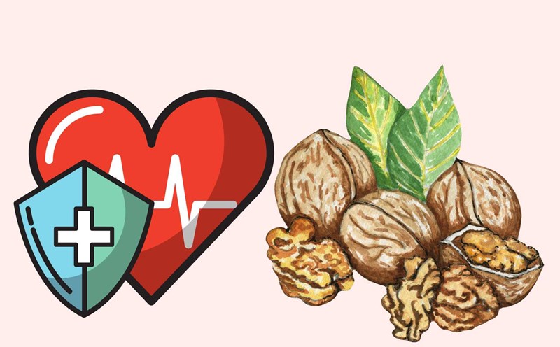 Eating walnuts will reduce the risk of cardiovascular disease and contribute to longevity.