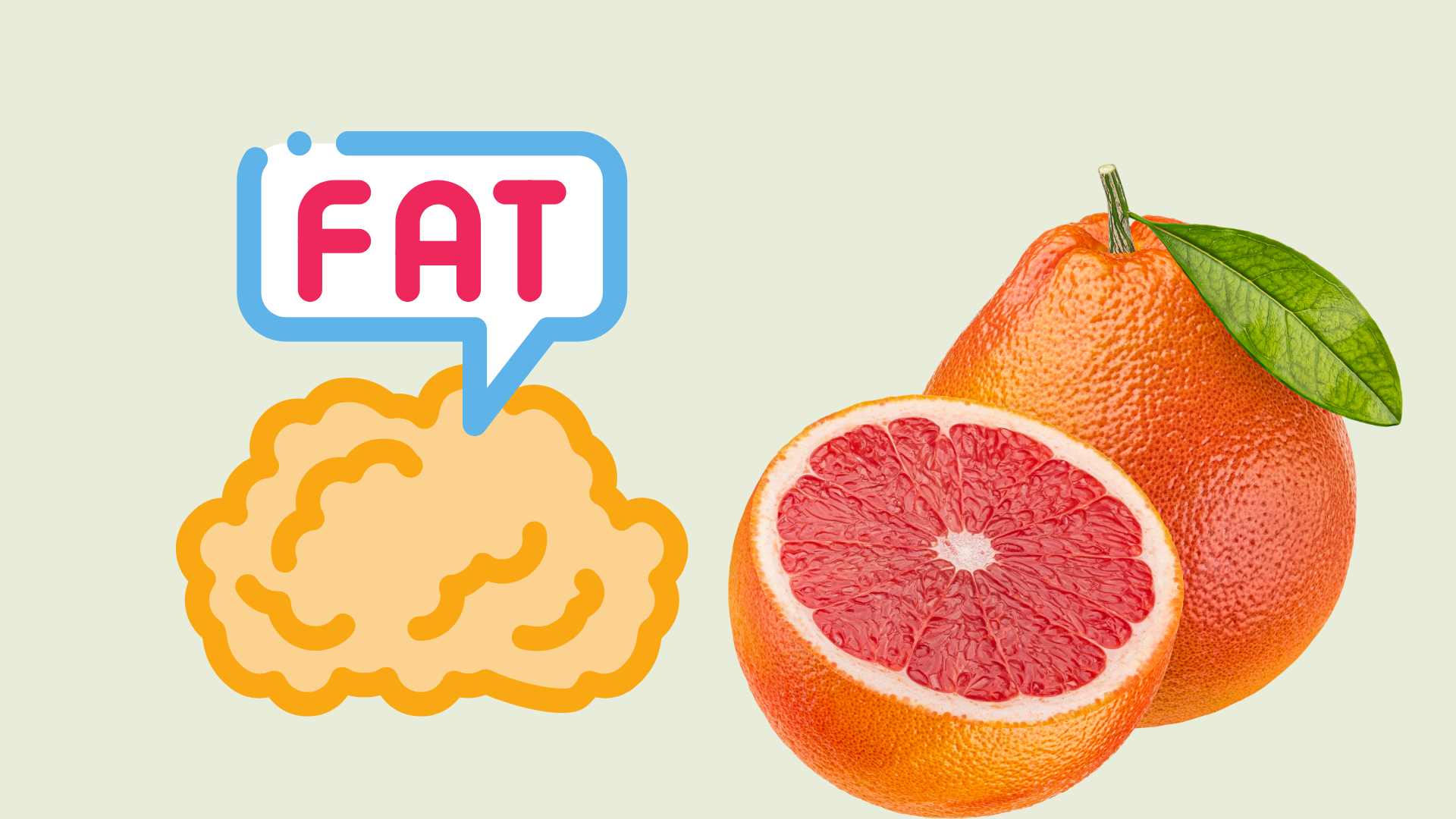 Eating a lot of grapefruit helps reduce visceral fat effectively. Graphic photo: Hoang Loc