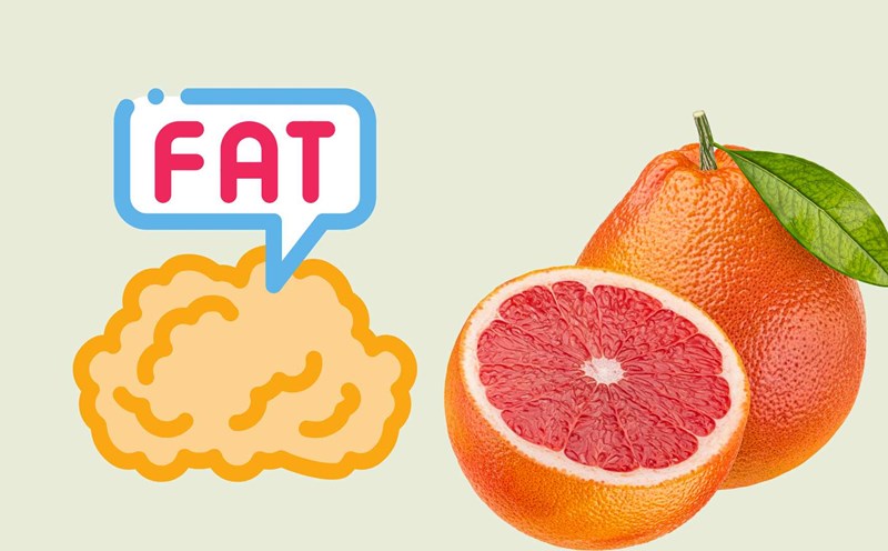 Eating a lot of grapefruit helps reduce visceral fat effectively. Graphic photo: Hoang Loc