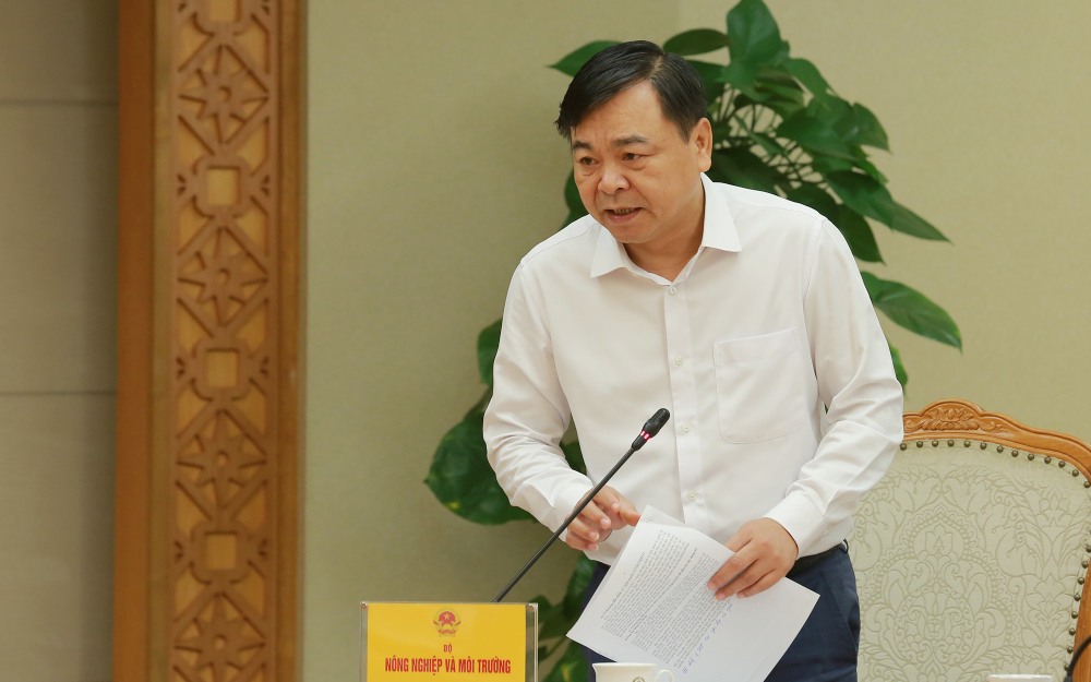 Thu truong Nguyen Hoang Hiep bao cao. Anh: VGP