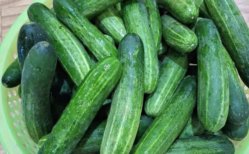 Cucumber juice helps increase liver and kidney function. Photo: Quang Minh.