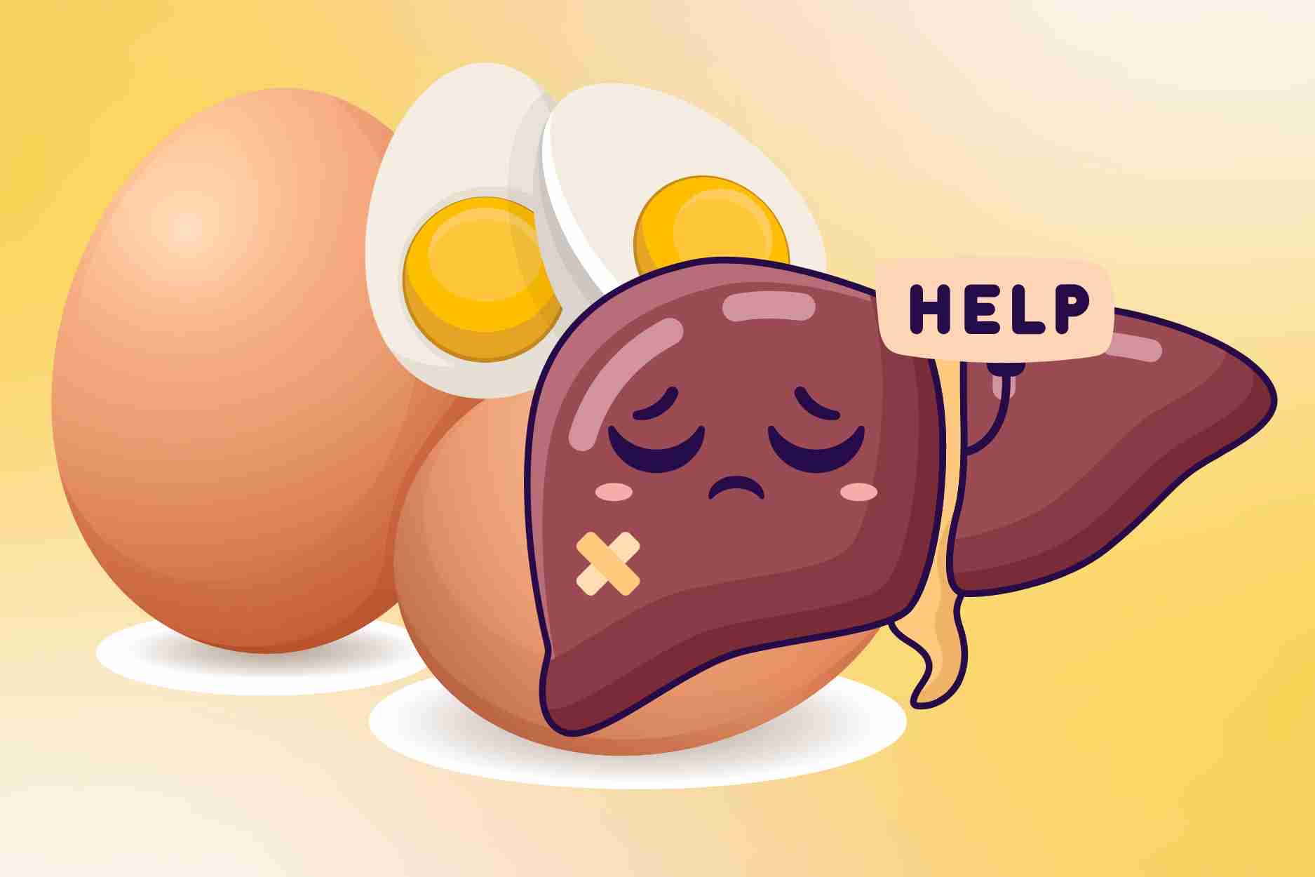 When to use chicken eggs can be harmful to the liver
