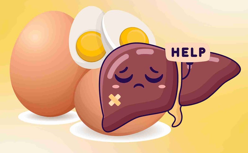 When to use chicken eggs can be harmful to the liver