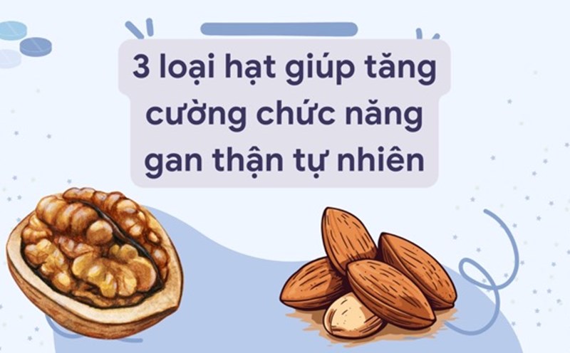 Almonds, walnuts... help support liver and kidney function effectively. Graphic photo: Huong Son