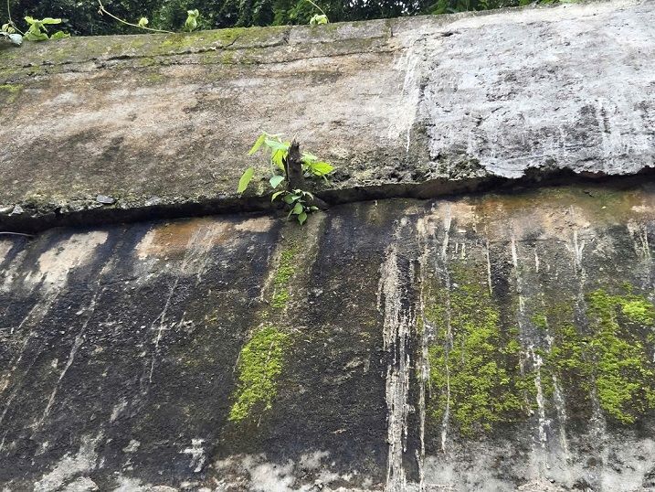 The embankment wall on National Highway 24 through Mang Den Pass, Quang Ngai Province was lifted about 10cm. Photo: Tran Huong