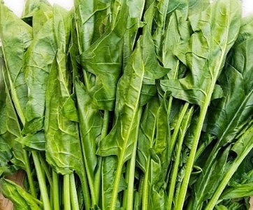 Spinach is one of the vegetables rich in maige, recommended to be included in the dinner diet to limit urination and avoid affecting sleep. Photo: Kieu Vu