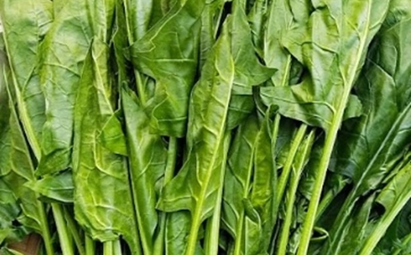 Spinach is one of the vegetables rich in maige, recommended to be included in the dinner diet to limit urination and avoid affecting sleep. Photo: Kieu Vu