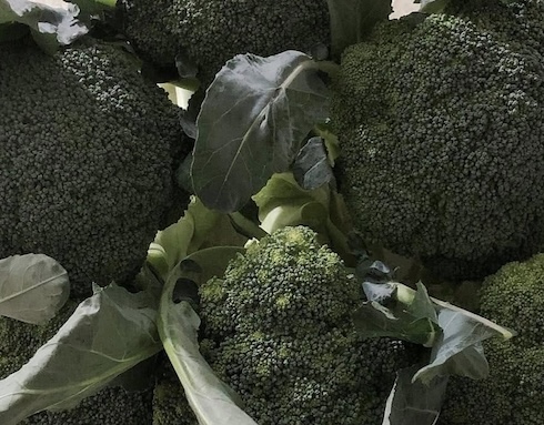 Broccoli is one of the vegetables that should be included in breakfast to satisfy the eyes. Photo: Kieu Vu