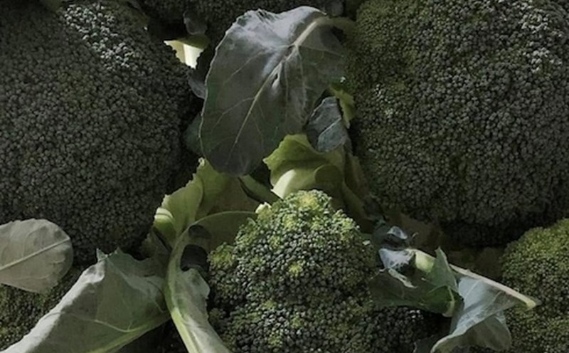 Broccoli is one of the vegetables that should be included in breakfast to satisfy the eyes. Photo: Kieu Vu