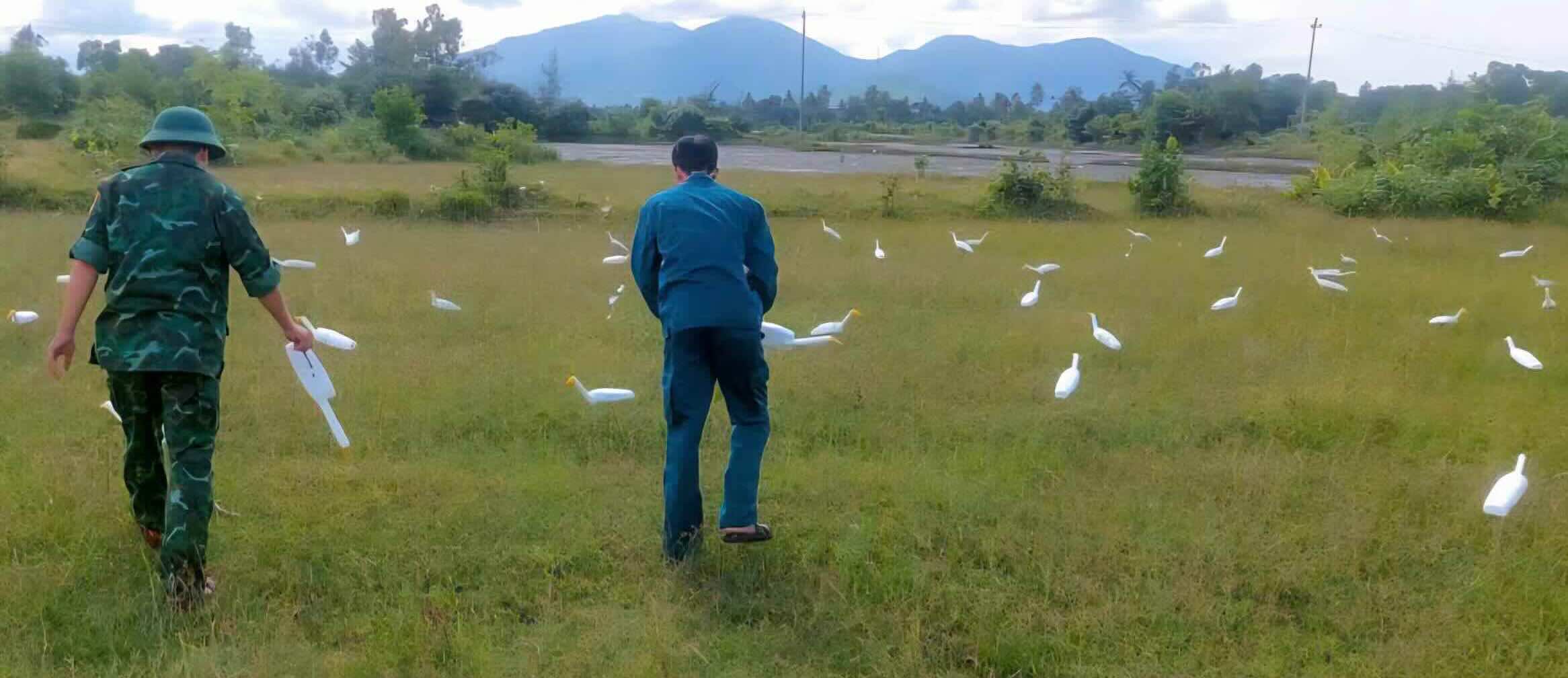 Tu dau thang 9 den nay, nhieu canh dong o TP Hue van con xuat hien tinh trang giang luoi bay chim, ket hop co gia, loa phat tieng keu... nham du va bat chim troi trong mua di cu. Thuc trang nay khong chi de doa cac loai chim hoang da ma con gay mat can bang sinh thai. 