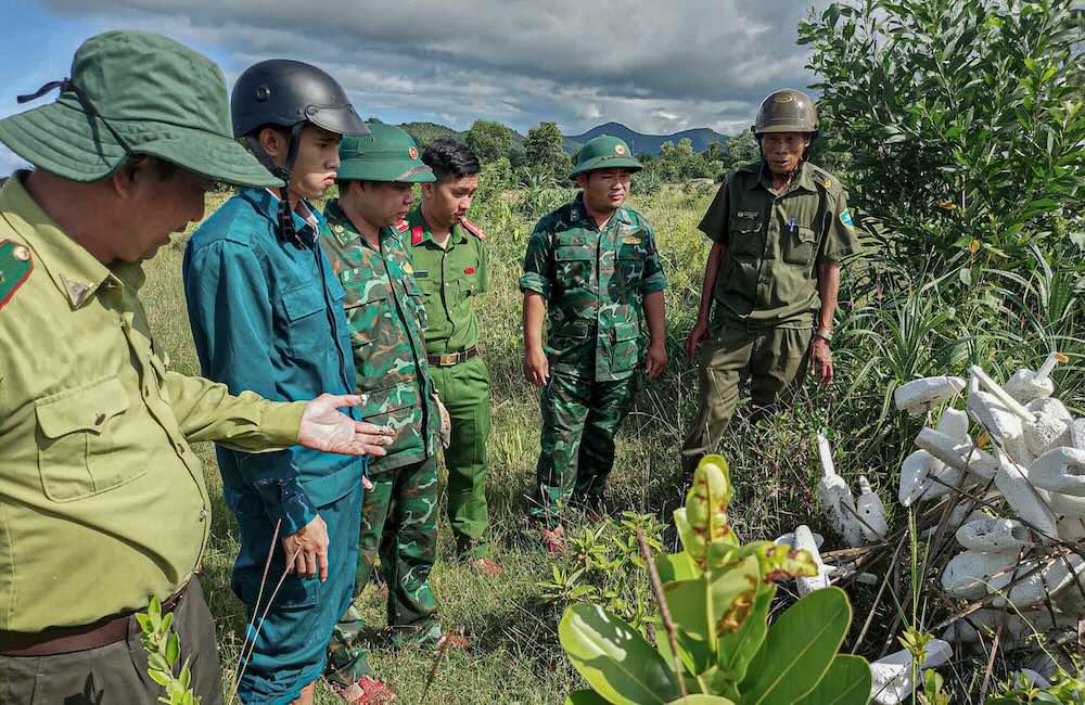 De chan chinh, luc luong kiem lam va chinh quyen dia phuong da trien khai cac dot kiem tra, tuyen truyen, dong thoi truc tiep thu gom, thao go cac loai bay luoi. 