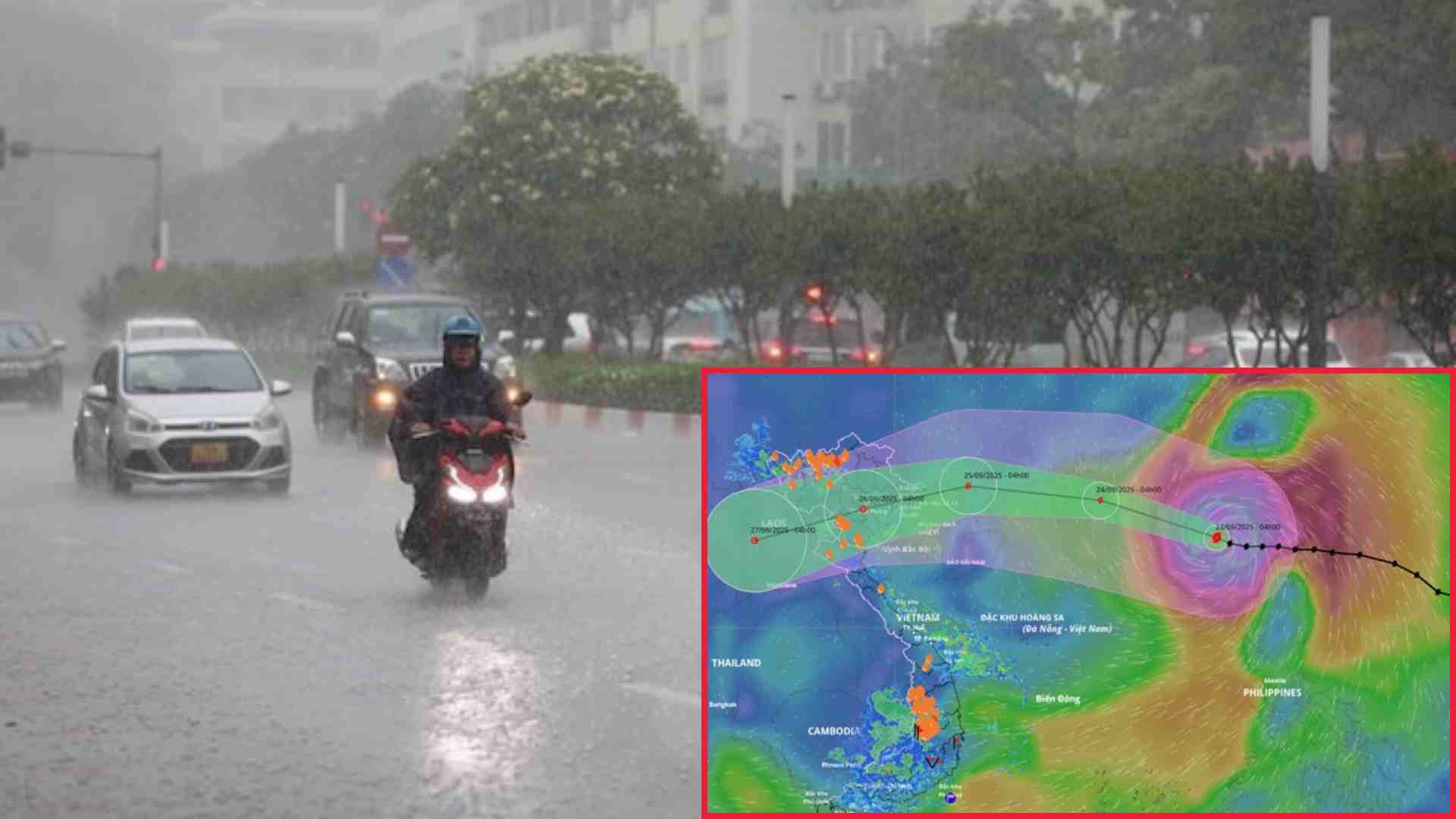 Previsions de temps de fortes pluies torrentielles dues au super typhon n° 9 Ragasa et aux provinces cles de fortes pluies. Graphique : Thach Lam