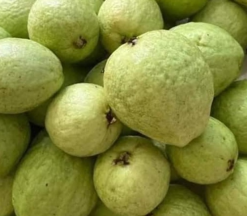 Fruits rich in vitamin C such as guava are said to be good for patients after kidney stones. Photo: Kieu Vu