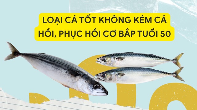 Mackerel is rich in omega-3 like salmon, providing a lot of vitamin B12 to repair muscles. Graphic photo: Nguyen Ly