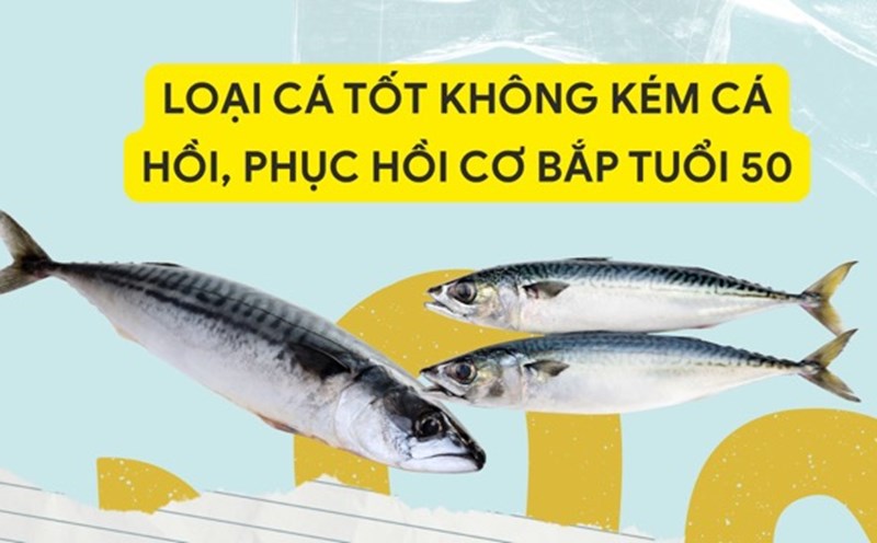 Mackerel is rich in omega-3 like salmon, providing a lot of vitamin B12 to repair muscles. Graphic photo: Nguyen Ly