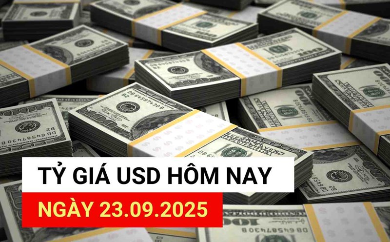 USD exchange rate today, September 23, 2025.