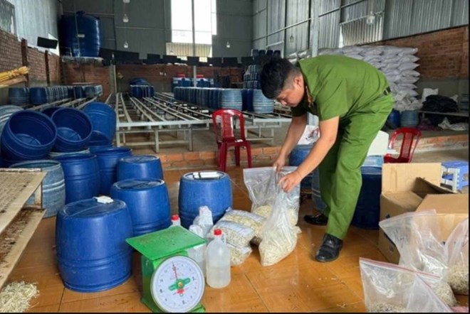 Lực lượng Công an kiểm tra một cơ sở sản xuất giá đỗ (ở địa bàn tỉnh Đắk Lắk) có ngâm hoạt chất cấm. Ảnh: Anh Tài