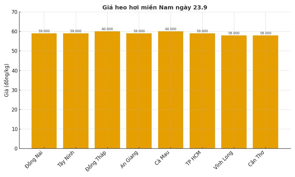 Gia heo hoi hom nay 23.9 tai mien Nam. Do hoa: Thuy Linh