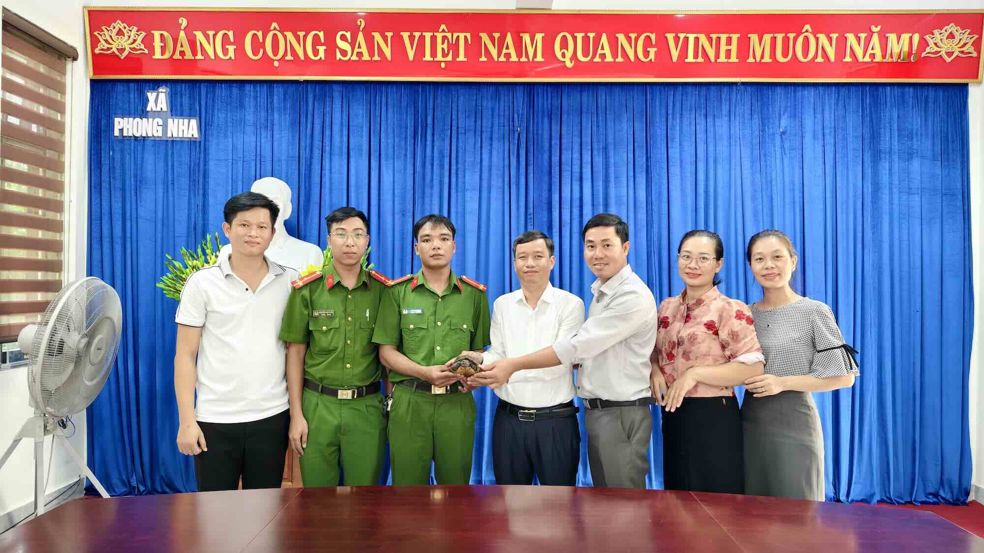 The rare Sa Nhan turtle was handed over by the Phong Nha Commune Police Working Group. Photo: Phong Nha Commune People's Committee