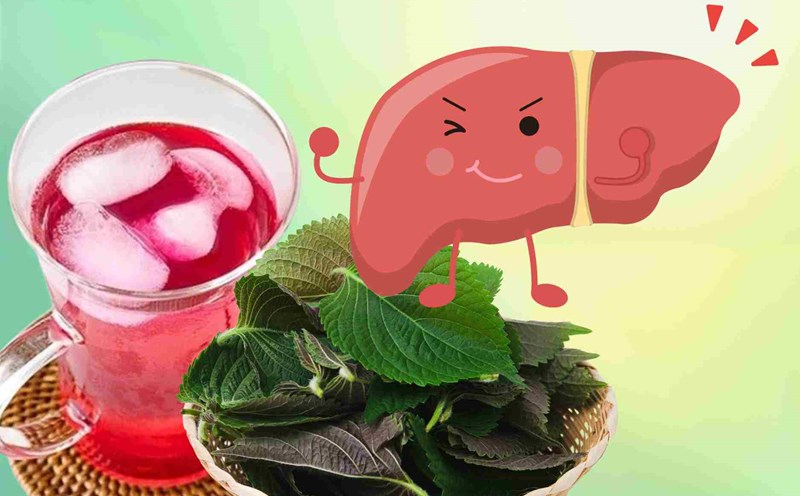 How to drink lemon perilla water properly to help reduce fat and detoxify the liver