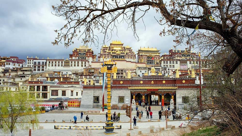 Toan canh tu vien Songzanlin. Neu chon tour lien tuyen Le Giang - Shangri La, du khach nen di Le Giang truoc roi toi Shangri La de thich nghi dan voi do cao va khong khi loang. Du khach co the uong them vien tuan hoan nao, uong tra gung de giu am va mang kem duong da de tranh bi ne do khong khi tren cao rat kho. Anh: Pupu