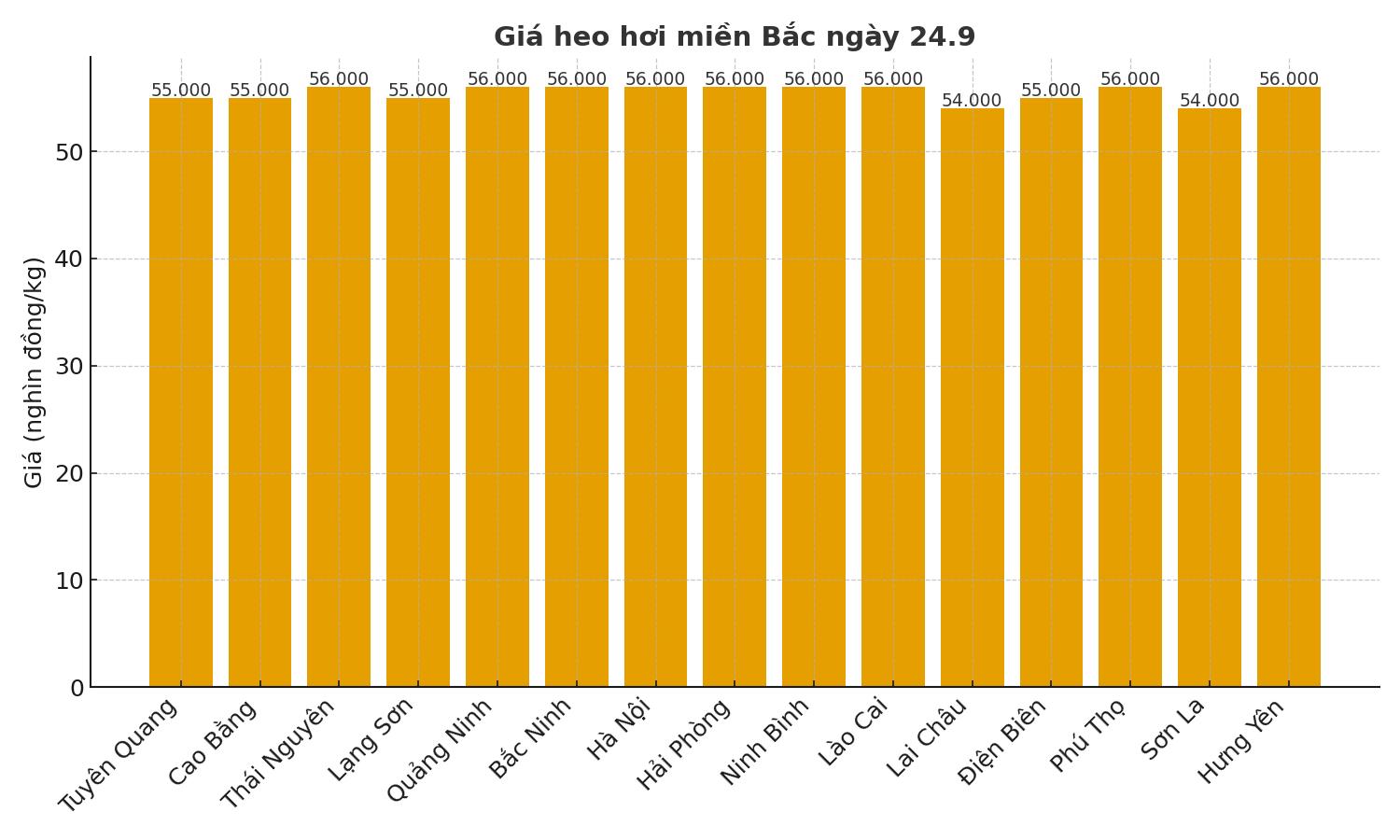 Gia heo hoi hom nay 24.9 tai mien Bac. Do hoa: Thuy Linh. 
