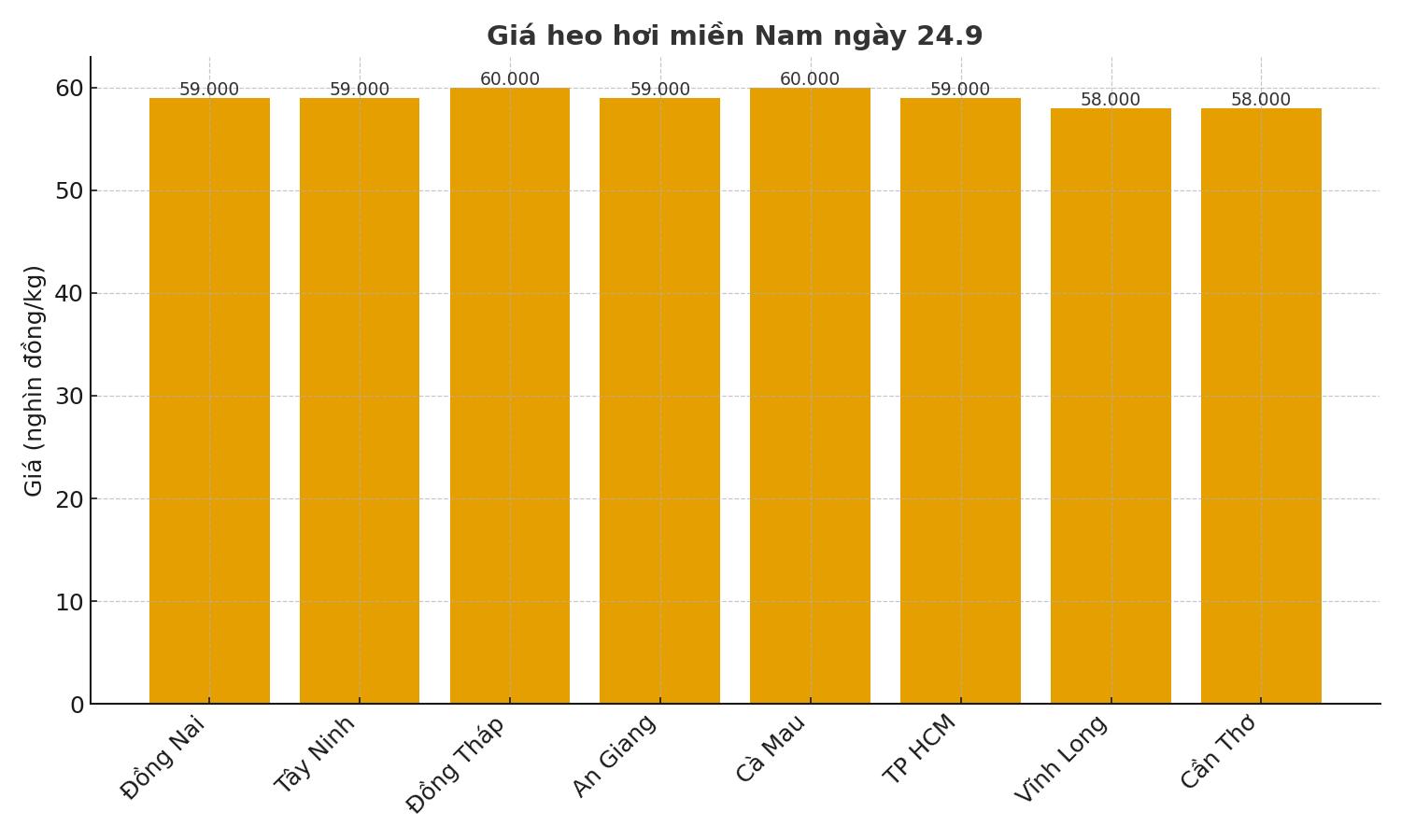Gia heo hoi hom nay 24.9 tai mien Nam. Do hoa: Thuy Linh. 