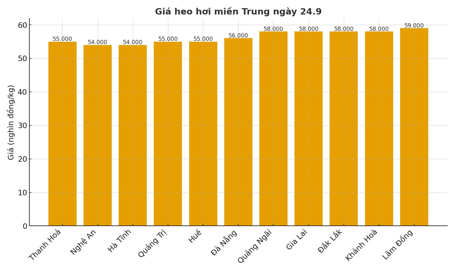 Gia heo hoi hom nay 24.9 tai mien Trung. Do hoa: Thuy Linh. 
