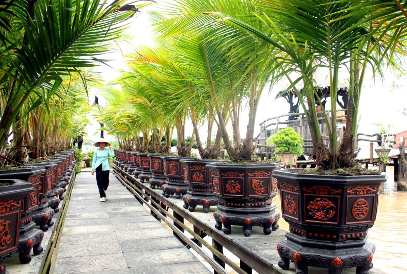 Và chạy dọc các cầu dẫn trên mé nước sông Tiền. Ảnh: Thanh Mai