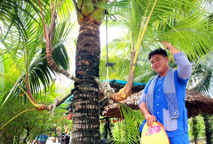 Phân ngọn ngay trên giữa phần thân cây. Ảnh: Thanh Mai